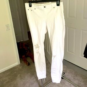 Hue white jegging size xl